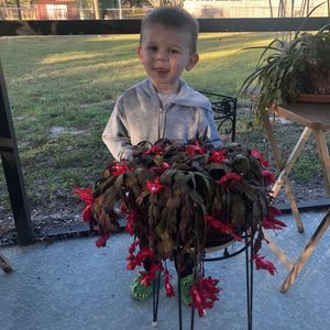 Meet your Posher, Debra